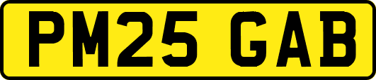 PM25GAB