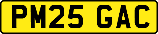 PM25GAC