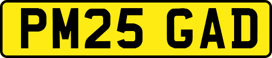 PM25GAD