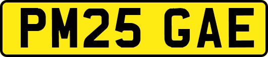 PM25GAE