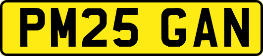 PM25GAN