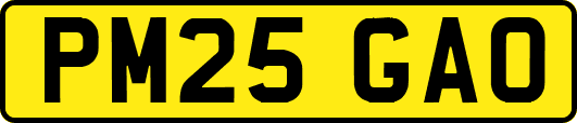 PM25GAO