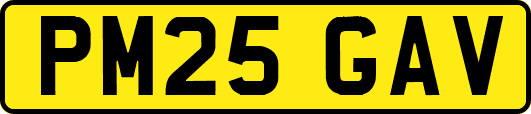 PM25GAV