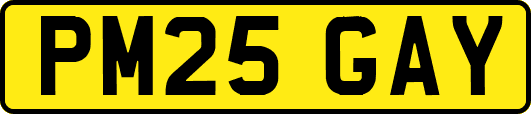 PM25GAY