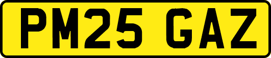 PM25GAZ