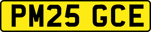 PM25GCE