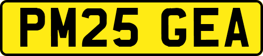 PM25GEA