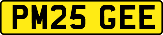 PM25GEE