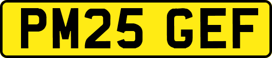 PM25GEF