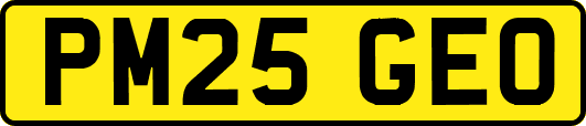 PM25GEO