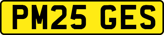 PM25GES