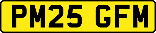 PM25GFM