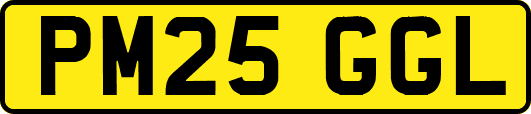 PM25GGL