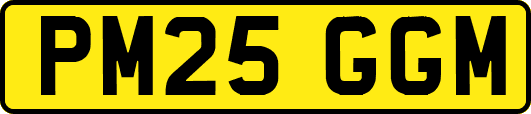 PM25GGM