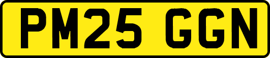 PM25GGN