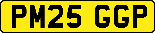 PM25GGP
