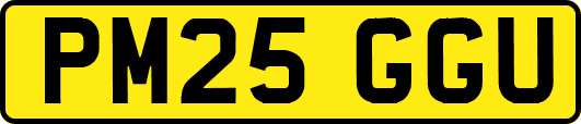 PM25GGU