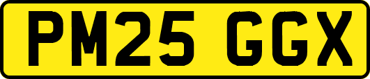 PM25GGX
