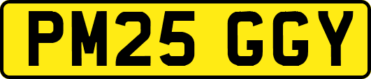 PM25GGY