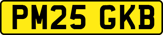 PM25GKB