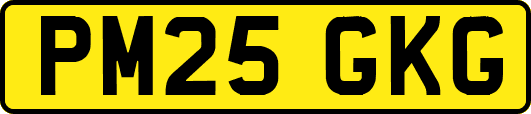 PM25GKG