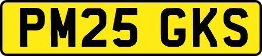PM25GKS