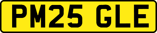 PM25GLE