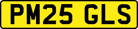 PM25GLS