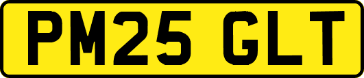 PM25GLT