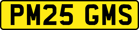 PM25GMS