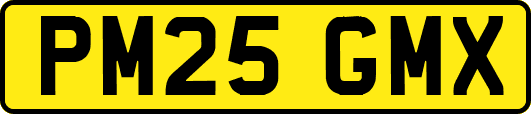 PM25GMX