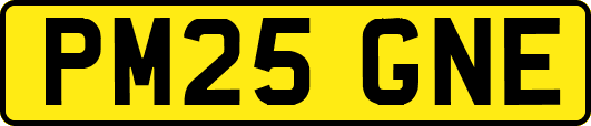 PM25GNE
