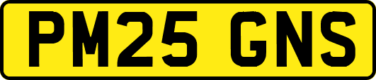 PM25GNS