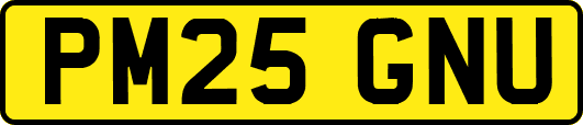 PM25GNU