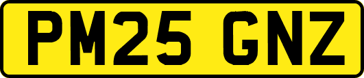 PM25GNZ