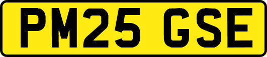 PM25GSE