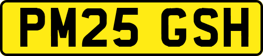 PM25GSH