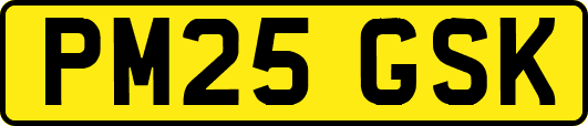 PM25GSK