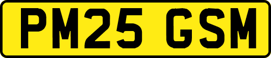 PM25GSM