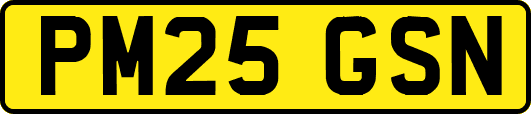PM25GSN
