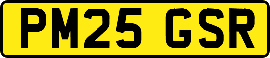 PM25GSR