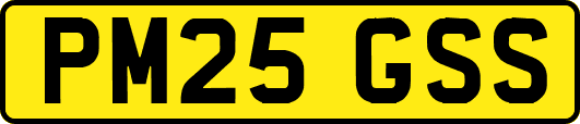 PM25GSS