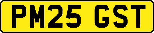 PM25GST
