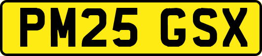 PM25GSX