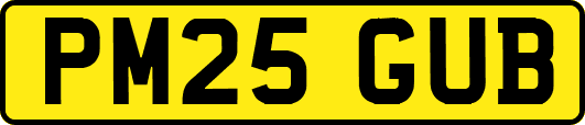 PM25GUB