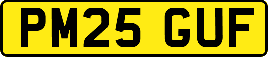 PM25GUF