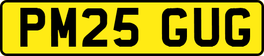 PM25GUG