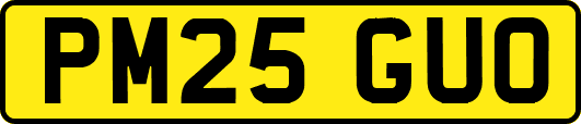 PM25GUO