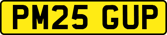 PM25GUP