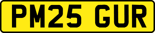 PM25GUR